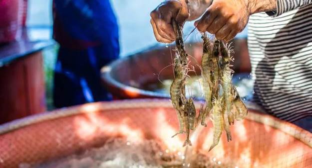 按此在新窗口瀏覽圖片