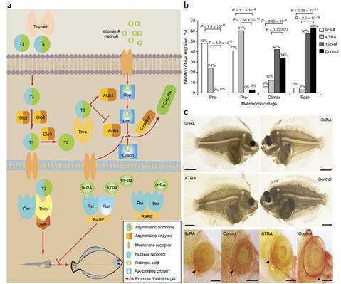 image006.jpg image006.jpg