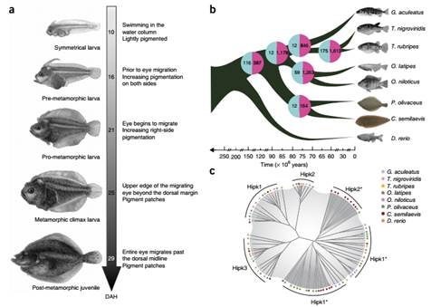 image004.jpg image004.jpg