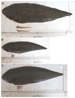 image002.gif image002.gif