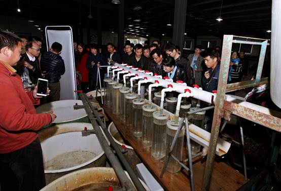 image006.jpg image006.jpg