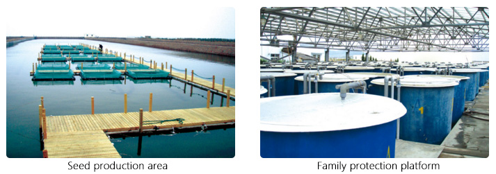 6359590544870847571395710.jpg 6359590544870847571395710.jpg