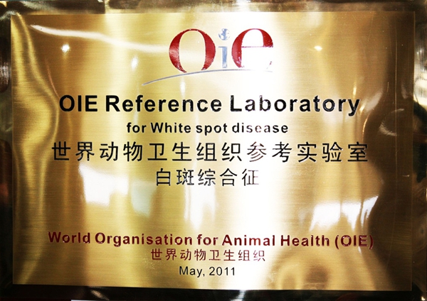 426558.jpg 426558.jpg