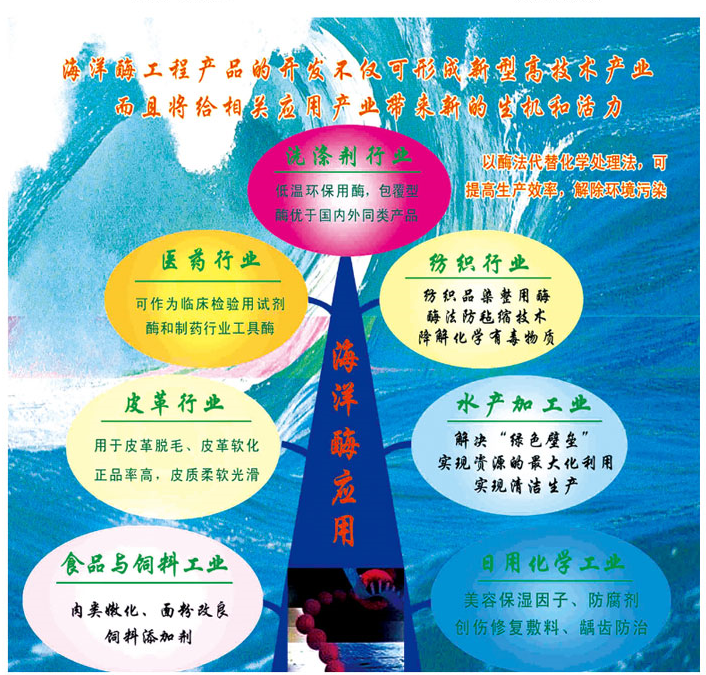 樹(shù).png 樹(shù).png