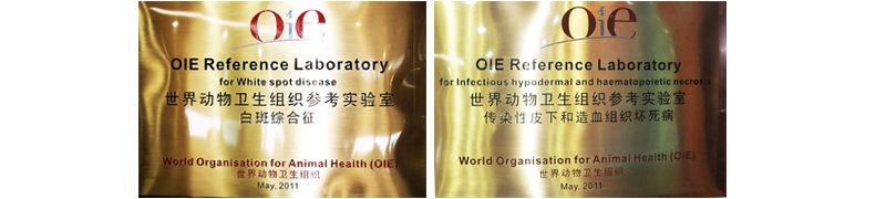 20161018133617481.png 20161018133617481.png