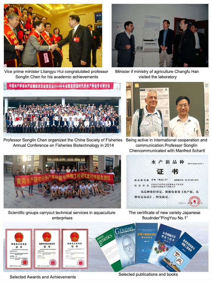 6360126097301965522403522.jpg 6360126097301965522403522.jpg