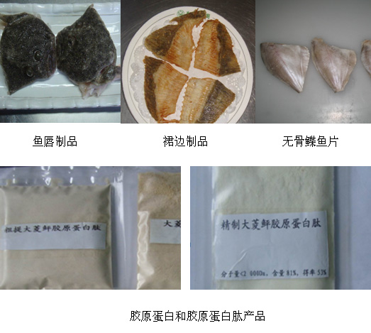 xpzxjs-25-3.jpg xpzxjs-25-3.jpg