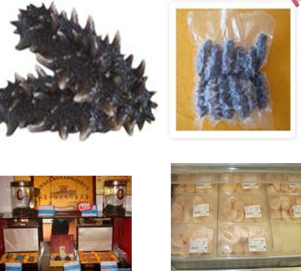 xpzxjs-25-8.jpg xpzxjs-25-8.jpg