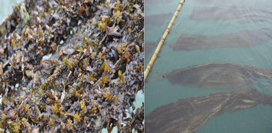 xpzxjs-18-2.jpg xpzxjs-18-2.jpg