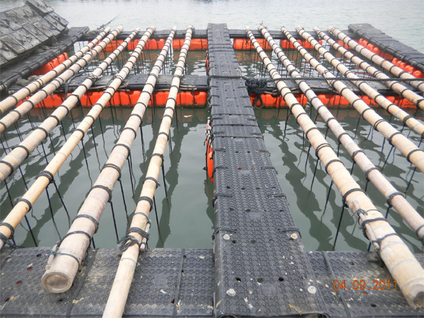 xpzxjs-17-1.jpg xpzxjs-17-1.jpg