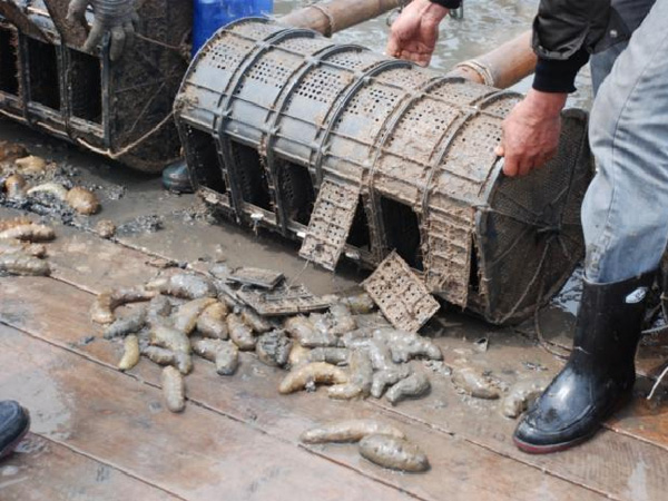 xpzxjs-17-2.jpg xpzxjs-17-2.jpg