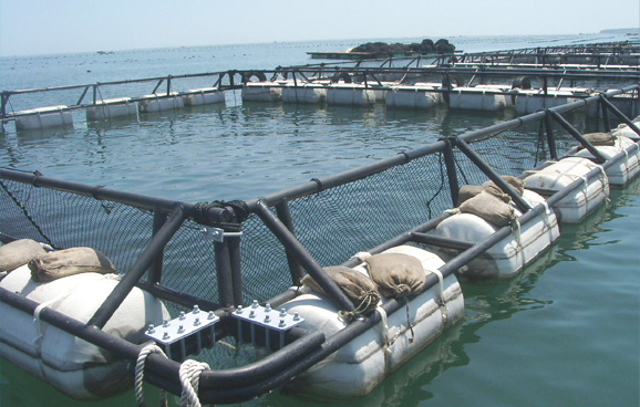 xpzxjs-15-1.jpg xpzxjs-15-1.jpg