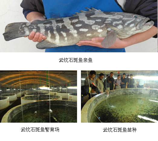 xpzxjs-13.jpg xpzxjs-13.jpg