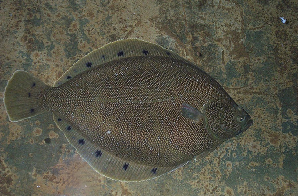 xpzxjs-9.jpg xpzxjs-9.jpg