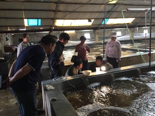 renhaiyihaodx.jpg renhaiyihaodx.jpg