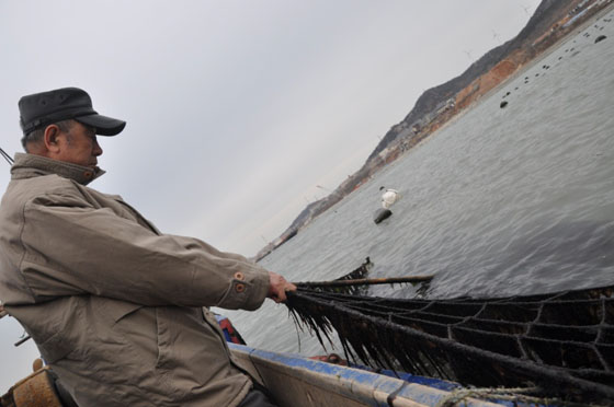 image001.jpg image001.jpg