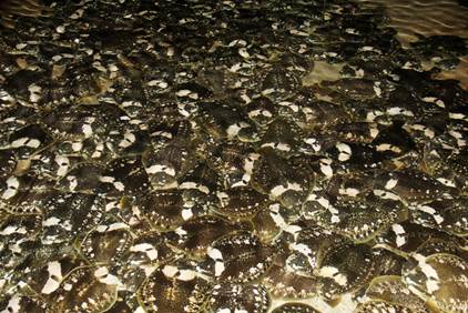 image004.jpg image004.jpg