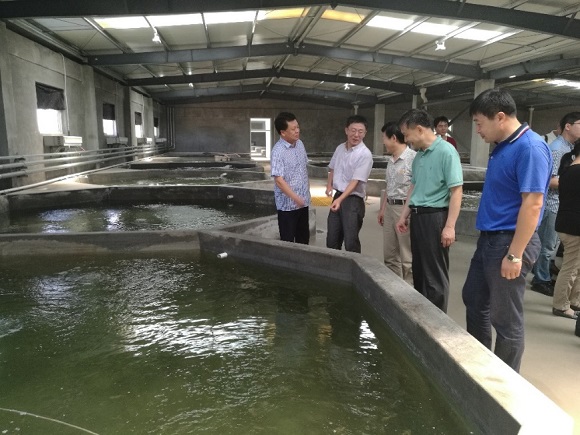 image002.jpg image002.jpg