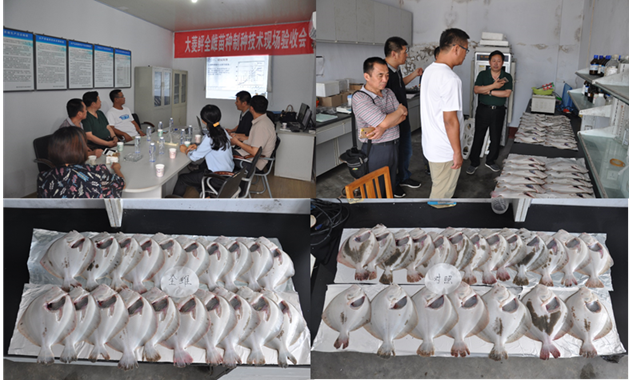 image002.png image002.png