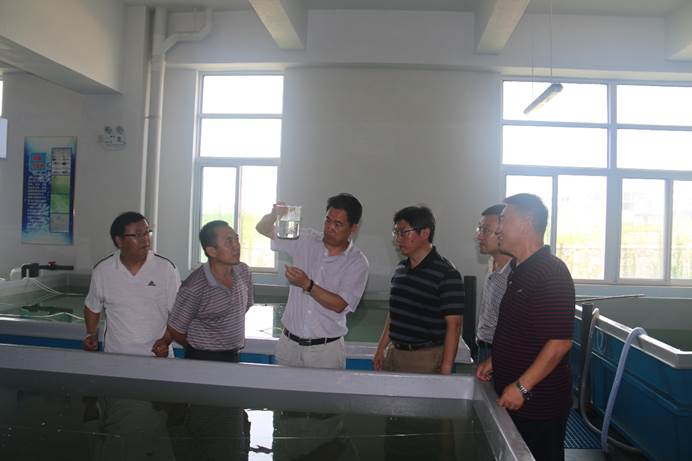 image004.jpg image004.jpg