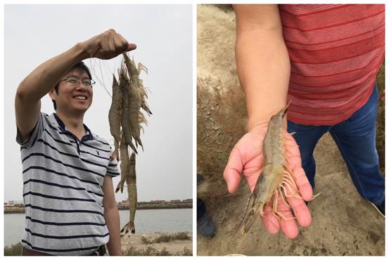 image002.jpg image002.jpg